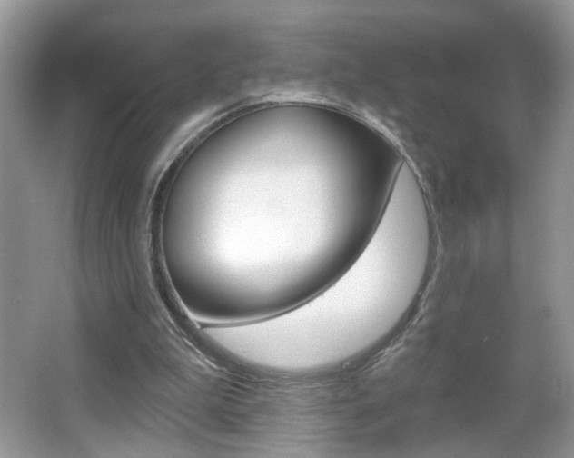 X0000067330199200603310907