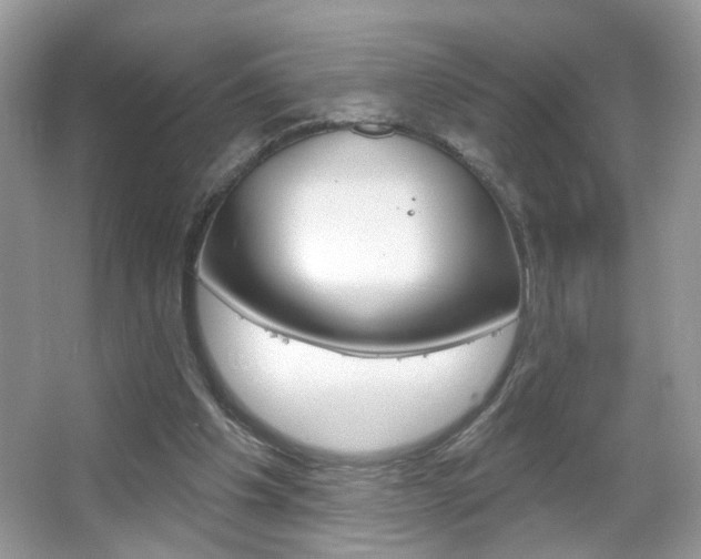 X0000067330201200603310907