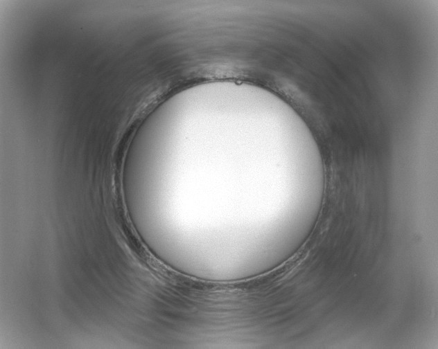 X0000067330202200603310907