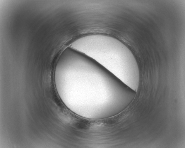 X0000067330206200603310907