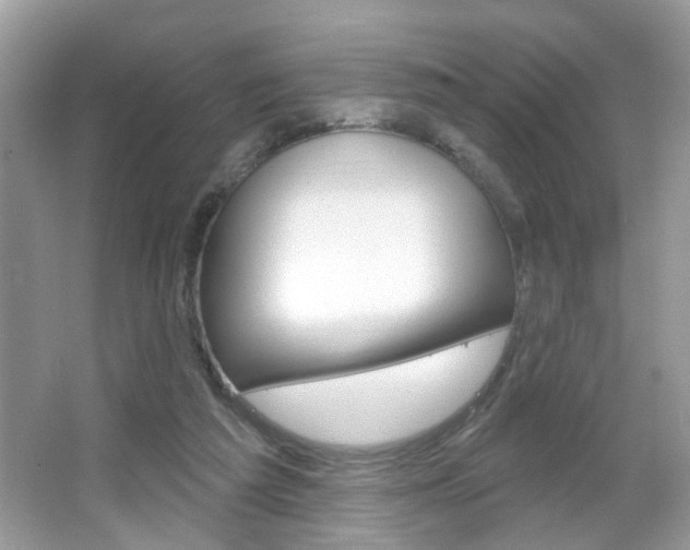 X0000067330209200603310907