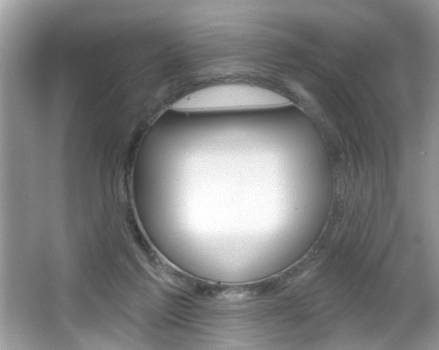 X0000067330213200603310907