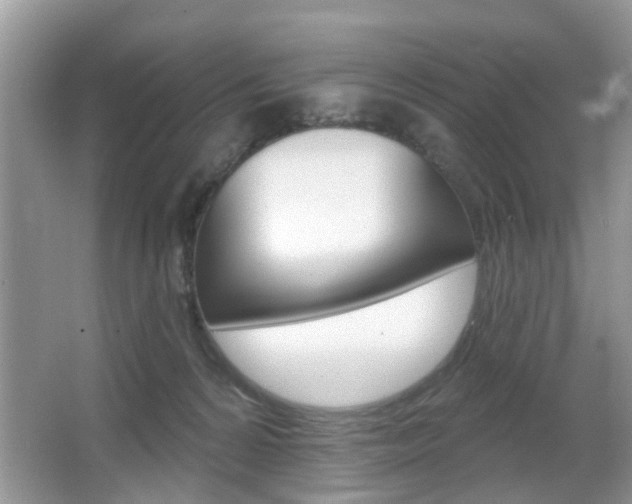 X0000067330224200603310907