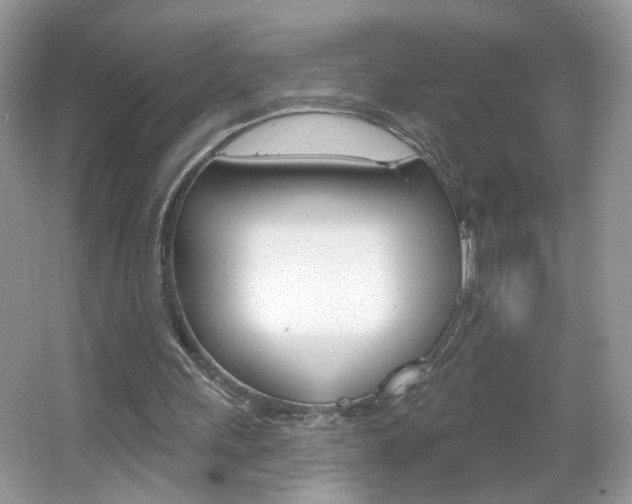 X0000067330243200603310906