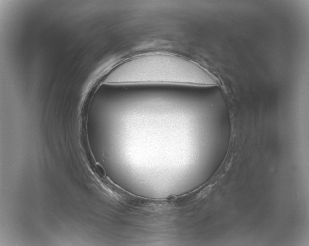 X0000067330245200603310906