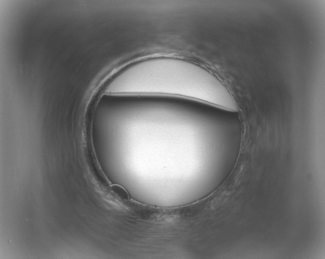 X0000067330247200603310906