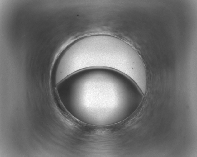 X0000067330248200603310906