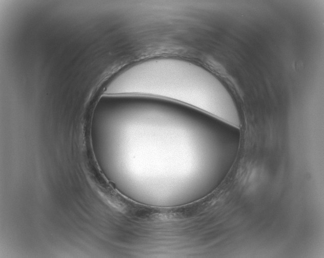 X0000067330250200603310906