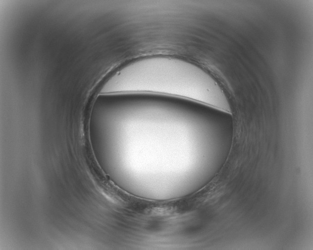 X0000067330251200603310906