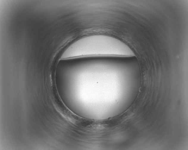 X0000067330254200603310906