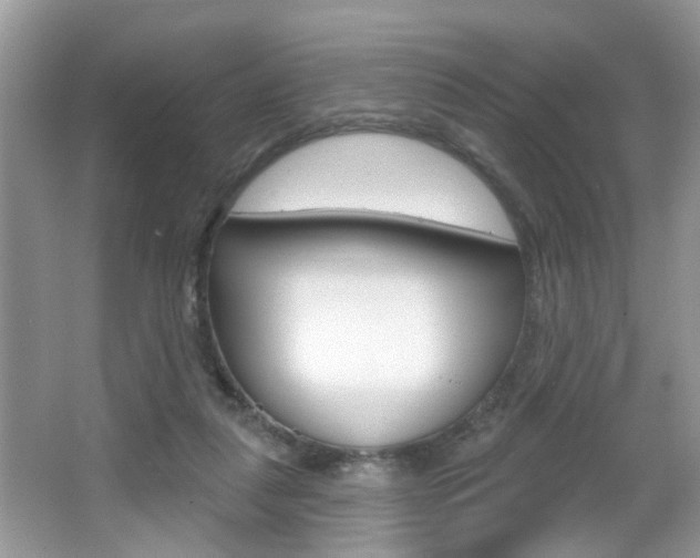 X0000067330259200603310906