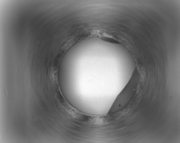 X0000067330276200603310906