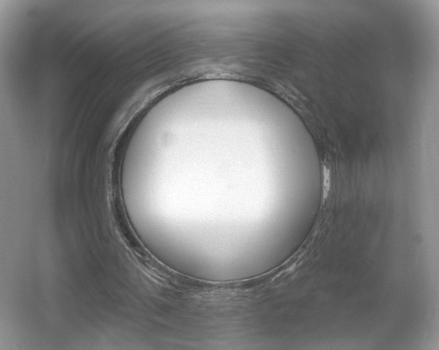 X0000067330291200603310906