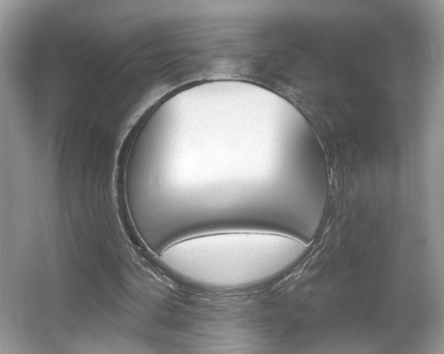 X0000067330292200603310906