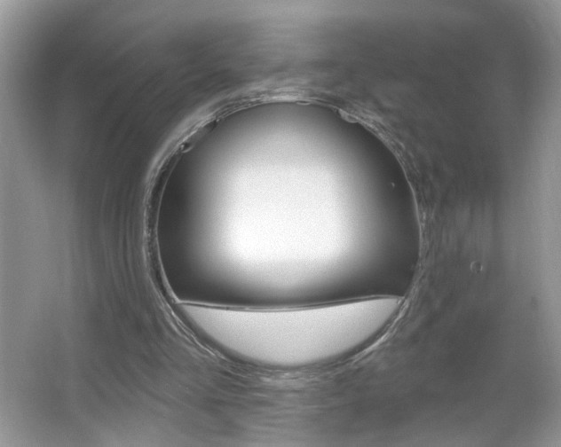 X0000067330293200603310906