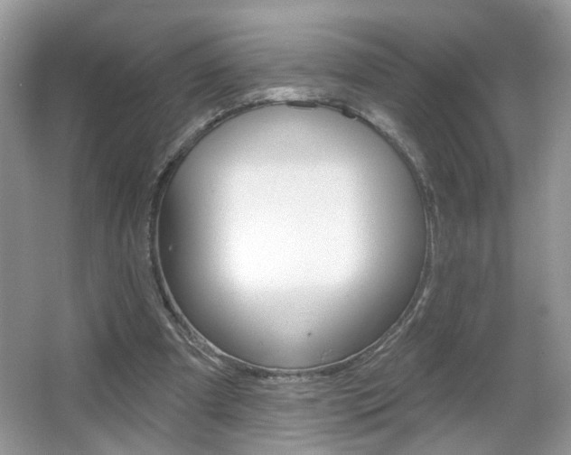 X0000067330297200603310905