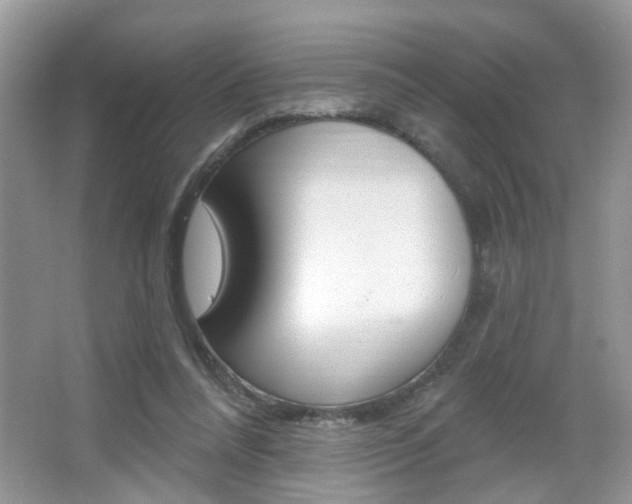 X0000067330304200603310905