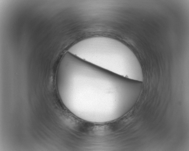 X0000067330314200603310905