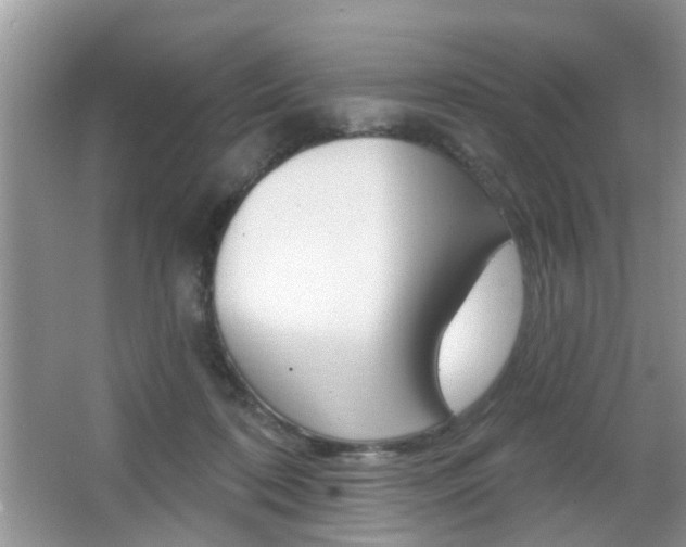 X0000067330316200603310905
