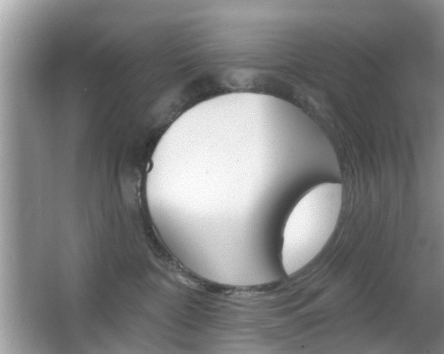 X0000067330332200603310905