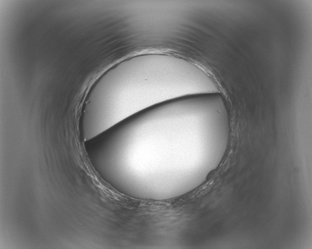 X0000067330337200603310904