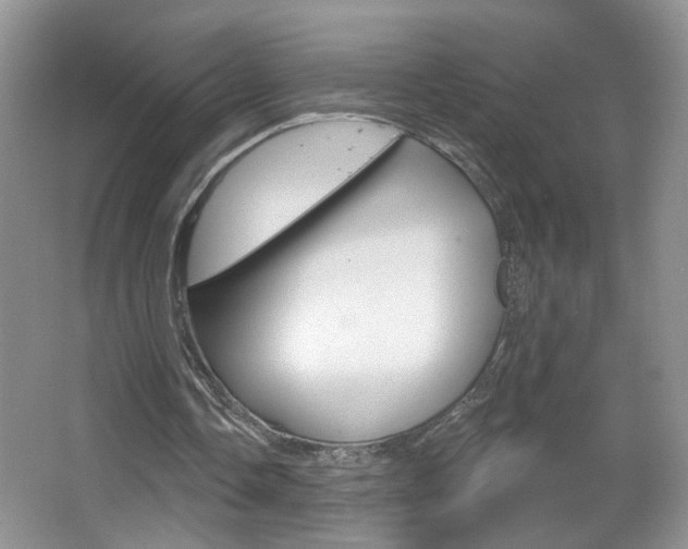 X0000067330338200603310904