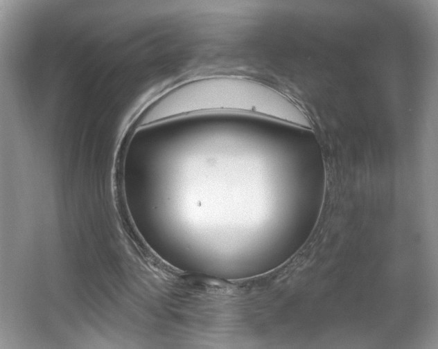 X0000067330340200603310904