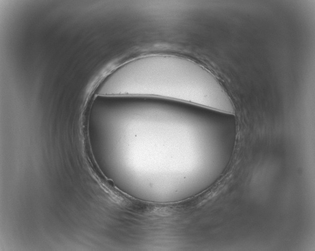 X0000067330341200603310904