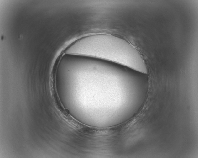 X0000067330342200603310904