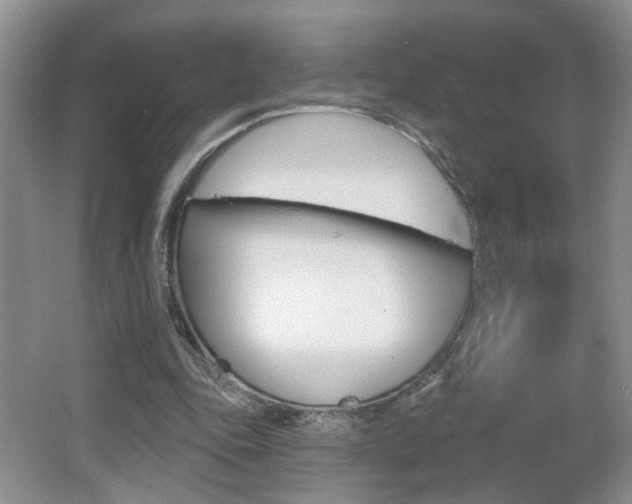 X0000067330343200603310904