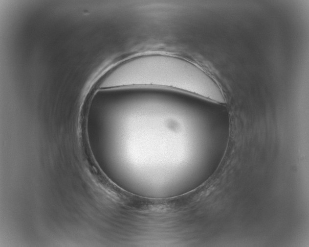 X0000067330344200603310904