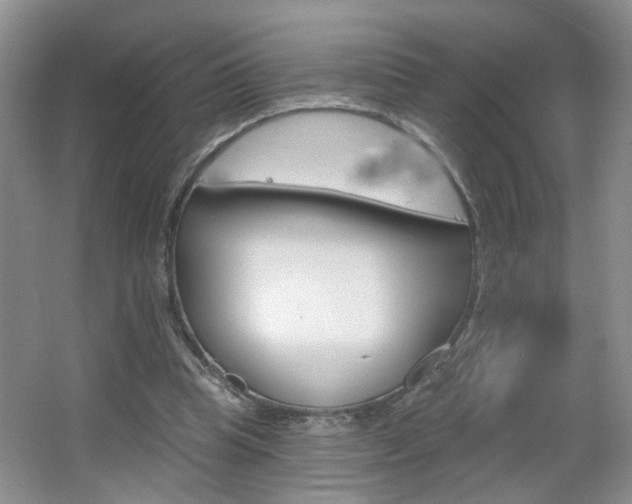 X0000067330345200603310904