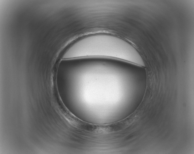 X0000067330350200603310904
