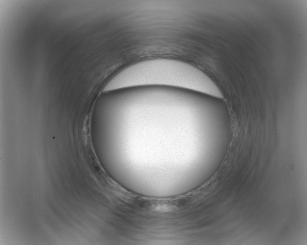 X0000067330360200603310904