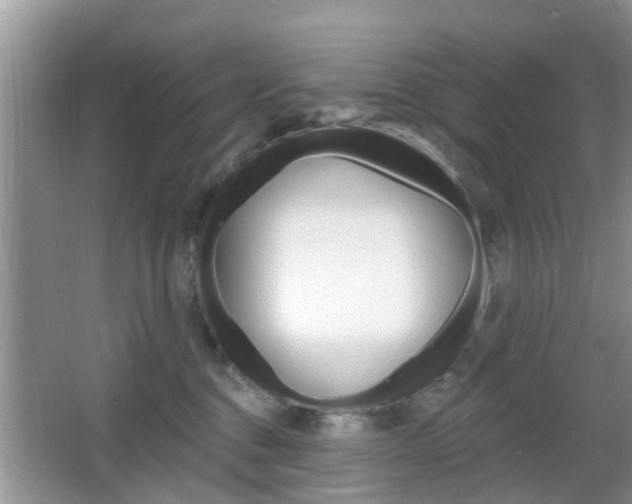 X0000067330376200603310905