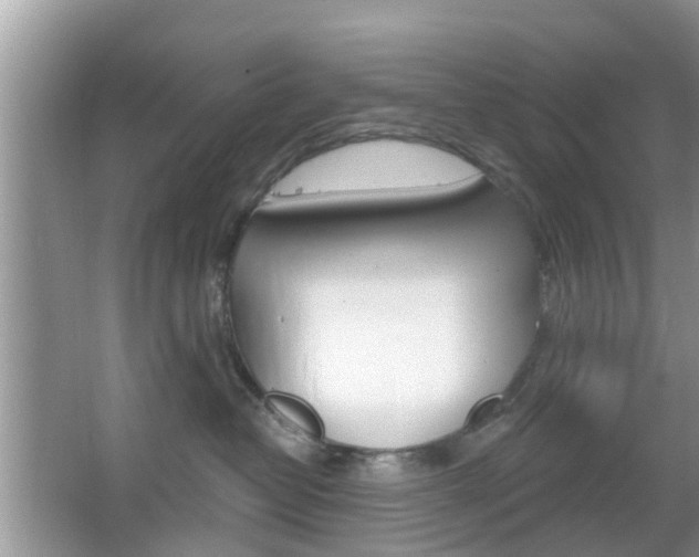 X0000067330382200603310905