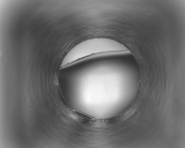 X0000067330384200603310905