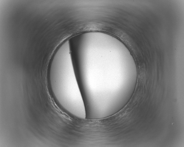 X0000067330386200603310904