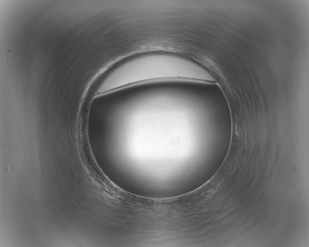 X0000067330388200603310904
