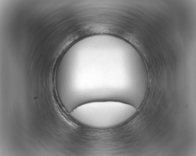 X0000067330390200603310904