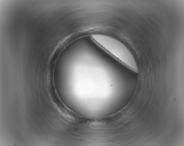 X0000067330400200603310904