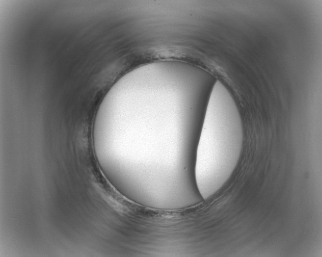 X0000067330402200603310904
