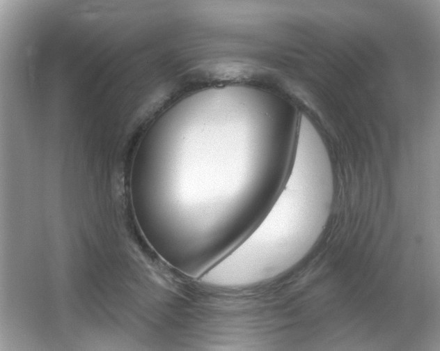 X0000067330407200603310904