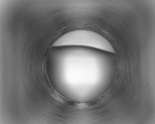 X0000067330409200603310904