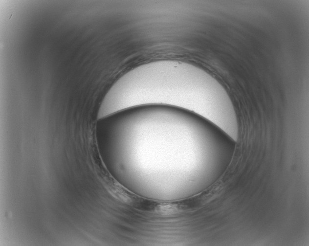 X0000067330413200603310904