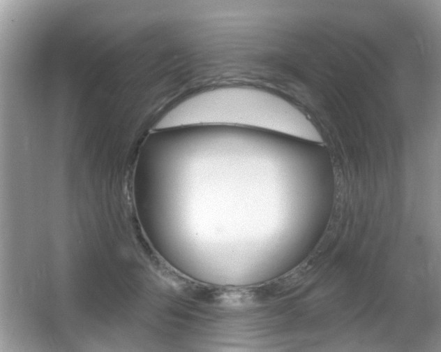 X0000067330415200603310903