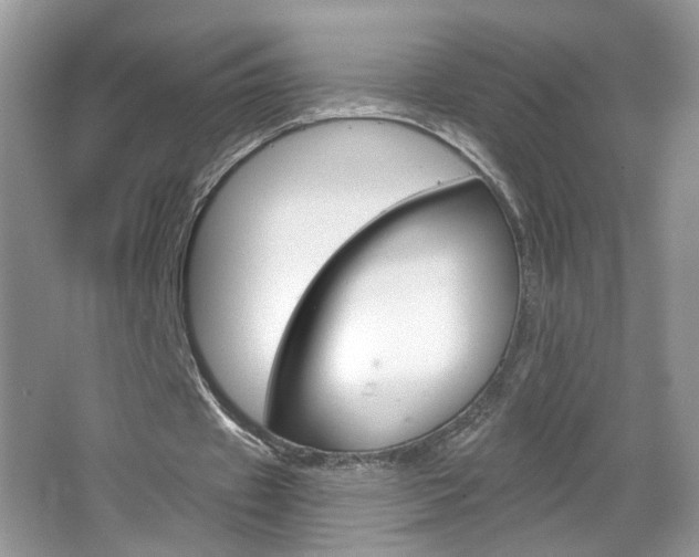 X0000067330433200603310902
