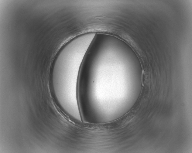 X0000067330434200603310902