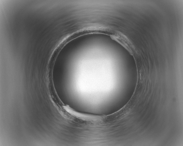 X0000067330436200603310902