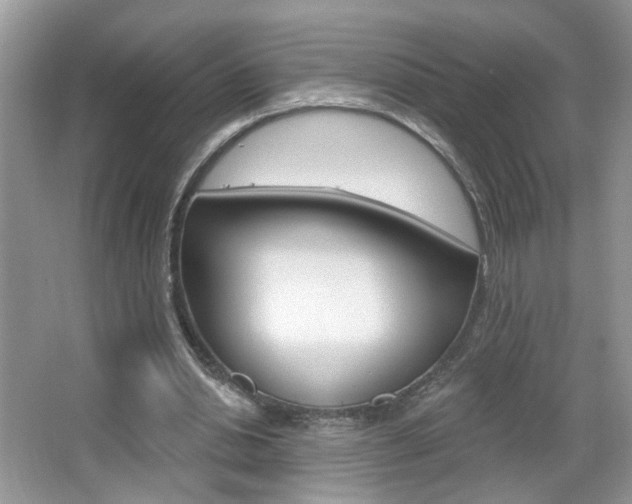 X0000067330438200603310902